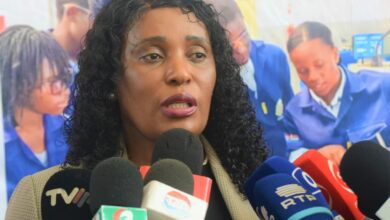 MEC vai introduzir novas disciplinas nas escolas