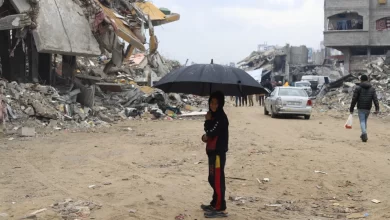Mais de 150 camiões com ajuda partiram para Gaza