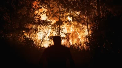 Mais de 40 operacionais combatem incêndio em fábrica de sofás no Sabugal
