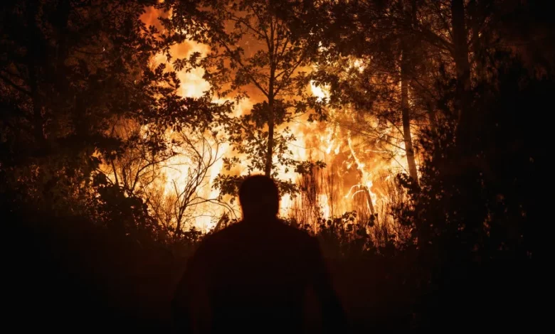 Mais de 40 operacionais combatem incêndio em fábrica de sofás no Sabugal