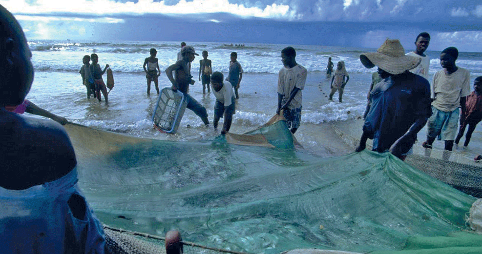 Manica pondera transformar a pesca familiar em comercial