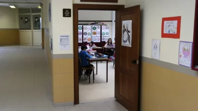 Ministério garante que não faltam docentes de Física e Química nas escolas