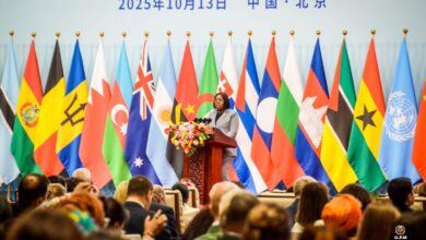 Moçambique apela ao uso da Declaração de Beijing para combate a violência baseada no género