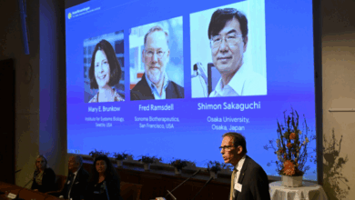 Nobel da medicina repartido por três investigadores