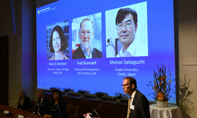 Nobel da medicina repartido por três investigadores
