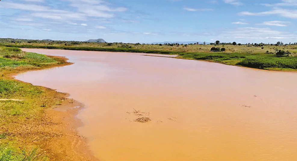 PARA ALÉM DO PROBLEMA DA POLUIÇÃO: Mineração ameaça activo florestal no país