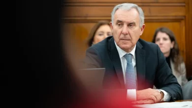 PSD: Nova lei de retorno de estrangeiros completará política migratória