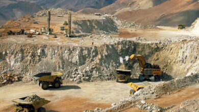 País reforça diplomacia económica com governo de Shandong