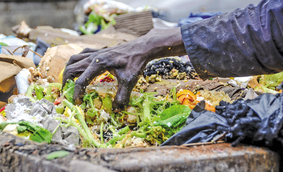 Para onde vão os alimentos que não chegam à mesa?
