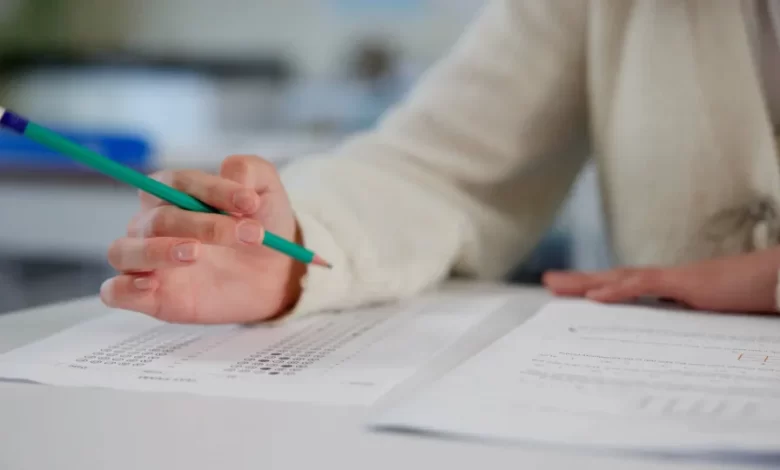Professores portugueses entre os mais satisfeitos da OCDE