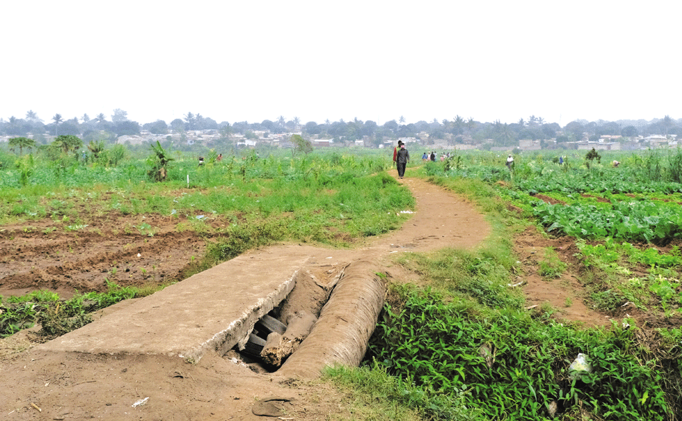 Projecto “Lago” lançado em Maputo