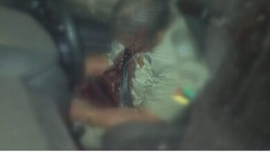Província de Maputo: Comandante da Polícia em Marracuene assassinada por desconhecidos