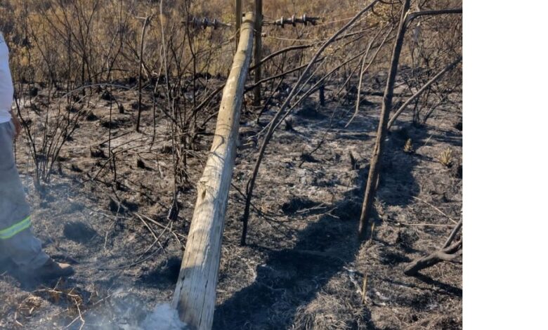 Queimadas destroem postes de energia em Gorongosa