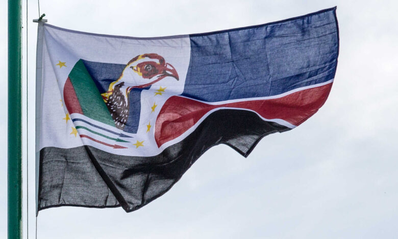 Renamo vai a Conselho Nacional