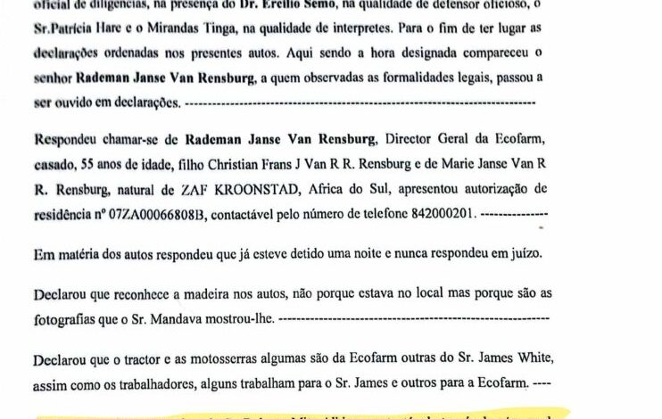 Roberto Mito Albino “escapa” à acusação no caso de exploração ilegal de madeira