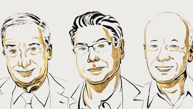 Trio arrecada Nobel da Economia