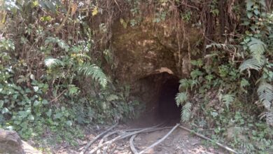 Túneis continuam a ser explorados por garimpeiros