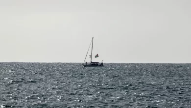 Turquia anuncia regresso de 36 cidadãos após interceção da flotilha para Gaza