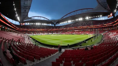 "Totalmente falso". MAG do Benfica presta esclarecimento sobre eleições
