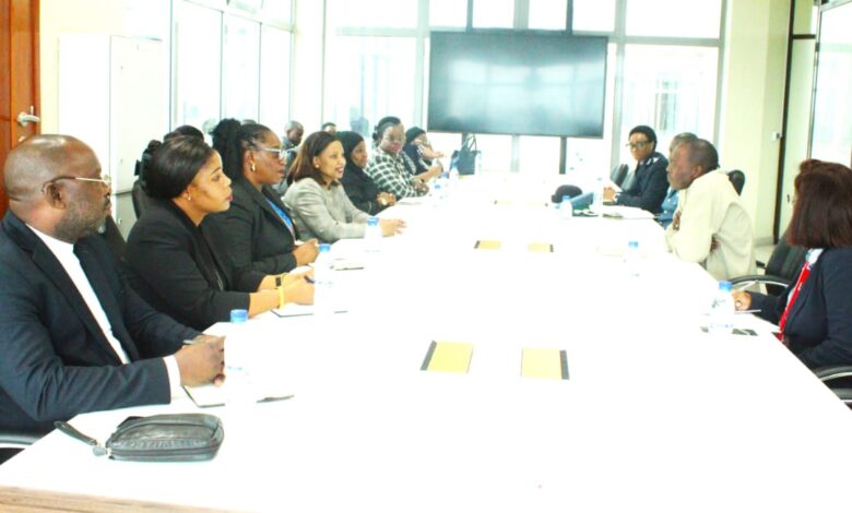 ASSEMBLEIA DA REPÚBLICA: Deputados da Sétima Comissão trabalham em Maputo