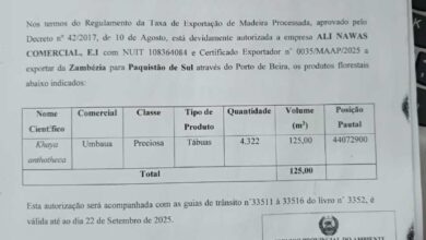 Autoridades abortam exportação ilegal de madeira pela Ali Nawaz em Sofala