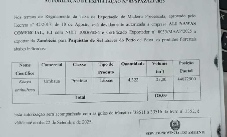 Autoridades abortam exportação ilegal de madeira pela Ali Nawaz em Sofala