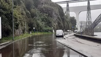 Avenida Gustavo Eiffel cortada e 31 ocorrências na cidade do Porto