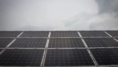 Beira Baixa opõe-se ao projeto da central solar fotovoltaica Sophia