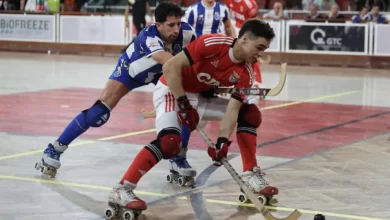 Benfica, Sporting e FC Porto vitoriosos na Liga dos Campeões