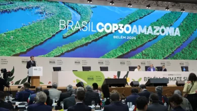 Bons resultados na COP30? Ambientalistas entre ceticismo e pessimismo