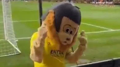 Bronca na Taça de Inglaterra. Mascote bêbada é expulsa de estádio