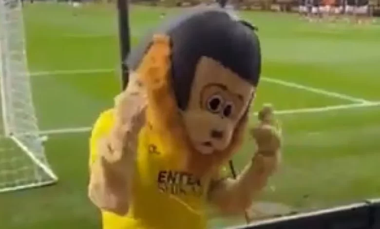 Bronca na Taça de Inglaterra. Mascote bêbada é expulsa de estádio