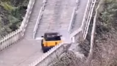Carro chinês tentou imitar feito da Range Rover. Resultado foi desastroso
