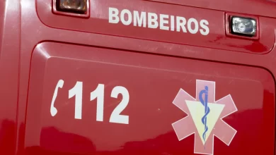Cavalo morre atropelado na Variante à EN 105 em Santo Tirso 