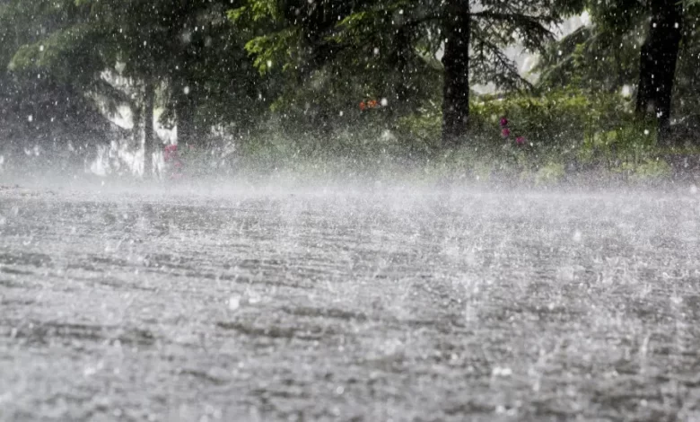 Chuva intensa corta trânsito na frente ribeirinha de Viana do Castelo