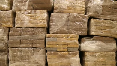 Colômbia anuncia apreensão de duas toneladas de cocaína com "zero mortos"