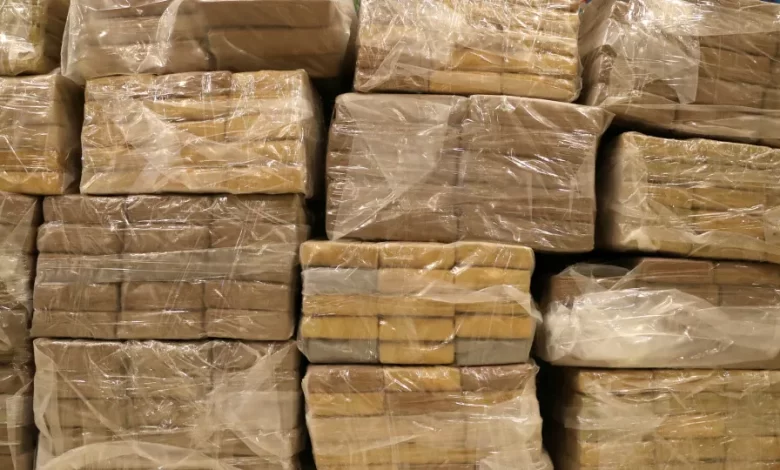 Colômbia anuncia apreensão de duas toneladas de cocaína com "zero mortos"