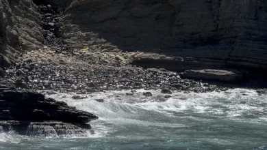 Derrame de hidrocarbonetos em Valado de Frades sob investigação