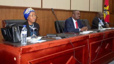 Diálogo Nacional Inclusivo ganha força entre moçambicanos na África do Sul