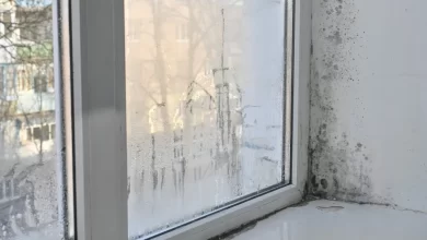 É por isto que deve começar a pôr sal junto às janelas