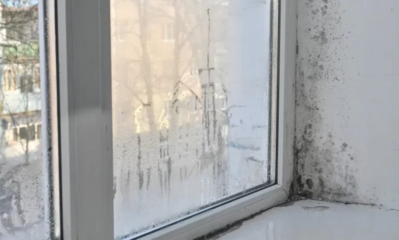 É por isto que deve começar a pôr sal junto às janelas