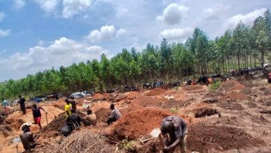 EM MANICA: Garimpeiros continuam a invadir machambas