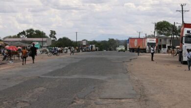 ESTRADA NACIONAL NÚMERO 1: Gorongosa-Caia vai ser reabilitado