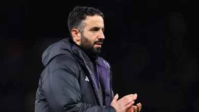 Ferdinand atira-se a Carragher e Neville por causa de Amorim: "Gostaria…"