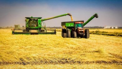 Gaza: Empresários líbios vão produzir arroz nos regadios de Chókwè e Xai-Xai