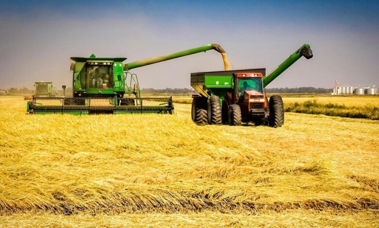 Gaza: Empresários líbios vão produzir arroz nos regadios de Chókwè e Xai-Xai
