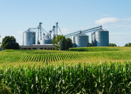Governo vai impulsionar a agro industrialização