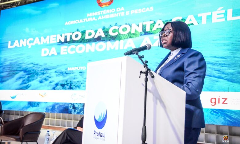 Lançada Conta Satélite da Economia Azul 