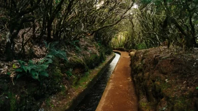 Madeira: Polaco desaparecido nas serras encontrado morto no norte da ilha