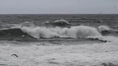 Mau tempo. Onze barras marítimas fechadas a toda a navegação